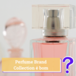 perfume brand collection é bom